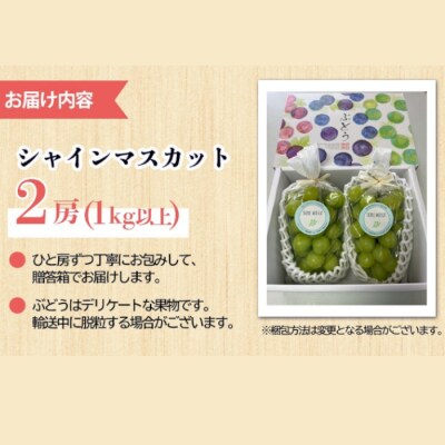【先行受付2026年発送】シャインマスカット プレミアム 2房、1kg以上|Jardin Omino