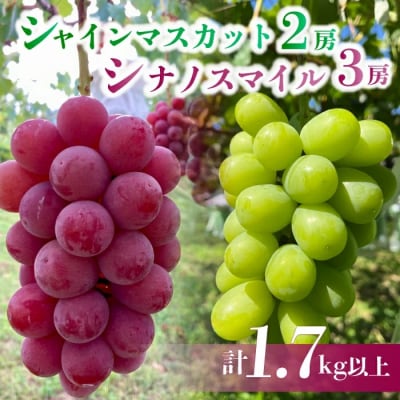 【先行受付2026年発送】シャインマスカット2房&シナノスマイル 3房 　|Jardin Omino