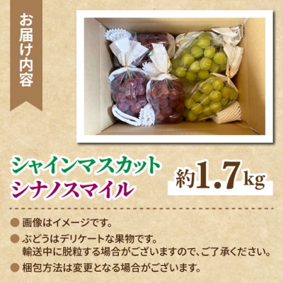 【先行受付2026年発送】シャインマスカット2房&シナノスマイル 3房 　|Jardin Omino