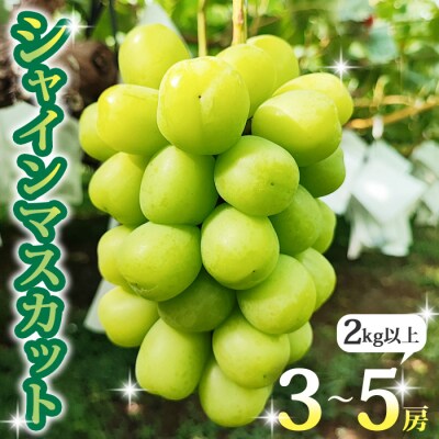 【先行受付2026年発送】シャインマスカット2kg以上(3～5房)|長野県東御市産