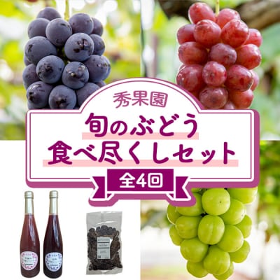 【先行受付2025年発送】旬のぶどう食べ尽くしセット4回頒布会|秀果園