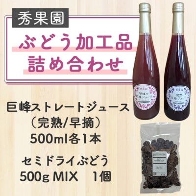 【先行受付2025年発送】旬のぶどう食べ尽くしセット4回頒布会|秀果園