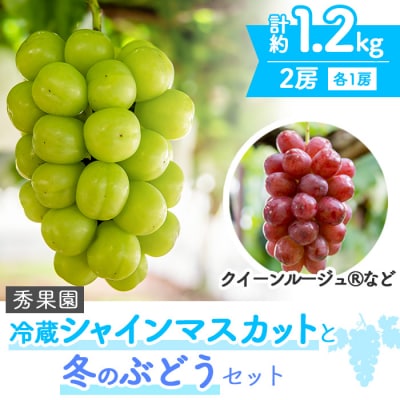 【秀果園】冷蔵シャインマスカットと冬のぶどう 2房セット(計約1.2kg)|秀果園