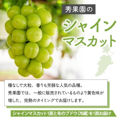 【秀果園】冷蔵シャインマスカットと冬のぶどう 2房セット(計約1.2kg)|秀果園