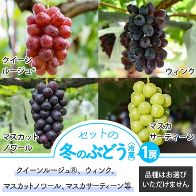 【秀果園】冷蔵シャインマスカットと冬のぶどう 2房セット(計約1.2kg)|秀果園