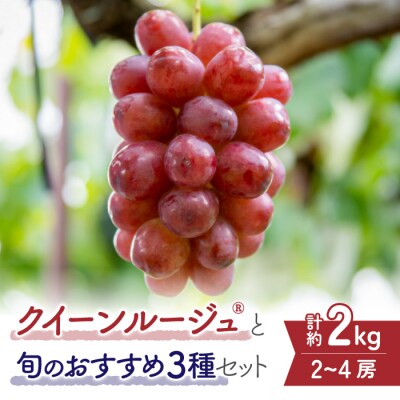 【先行受付2025年発送】クイーンルージュ(R)と旬のおすすめ3種セット|秀果園