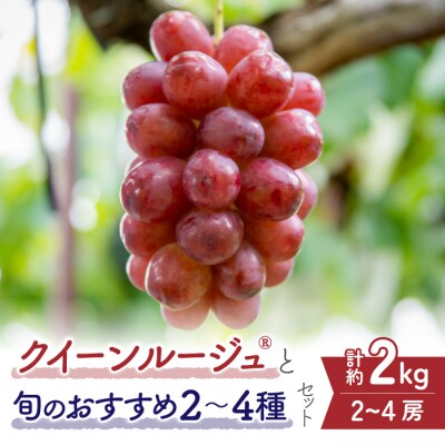 【先行受付2026年発送】クイーンルージュ(R)と旬のおすすめ2～4種セット(約2kg)|秀果園