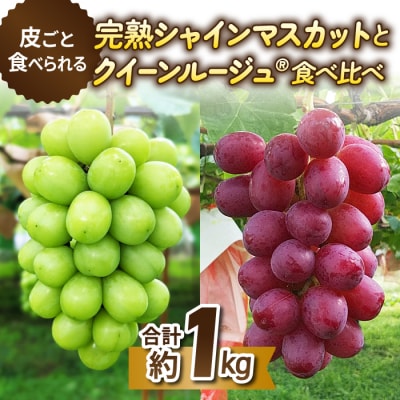 【先行受付2025年発送】皮ごと食べる2色ぶどうギフトセット|東御こもだ果樹園