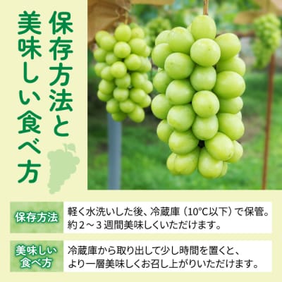 【先行受付2025年発送】皮ごと食べる2色ぶどうギフトセット|東御こもだ果樹園