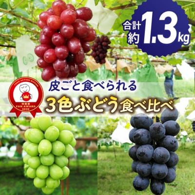 【先行受付2025年発送】皮ごと食べる3色ぶどうギフトセット|東御こもだ果樹園