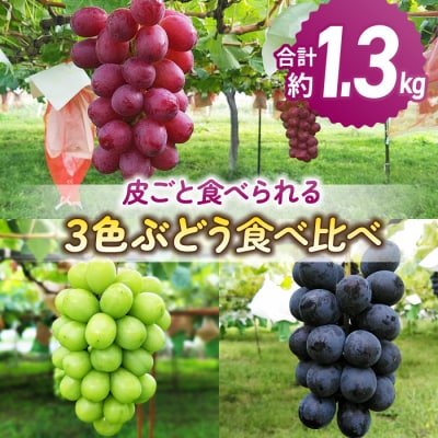 【先行受付2025年発送】皮ごと食べる3色ぶどうギフトセット|東御こもだ果樹園