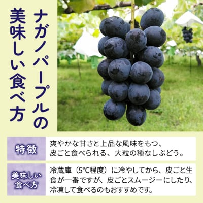 【先行受付2025年発送】皮ごと食べる3色ぶどうギフトセット|東御こもだ果樹園