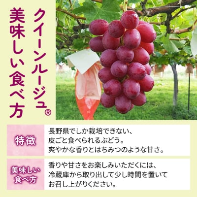 【先行受付2025年発送】皮ごと食べる3色ぶどうギフトセット|東御こもだ果樹園