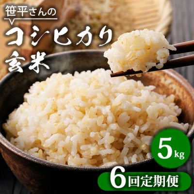 【定期便】【令和6年産】八重原産コシヒカリ 玄米【5kg×全6回 合計30kg】|笹平さんのお米