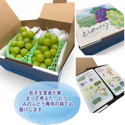 【先行受付2025年発送】シャインマスカット2房(1.1kg以上)|Ruga grape farm