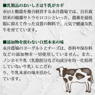 永井農場の乳製品詰め合わせセット