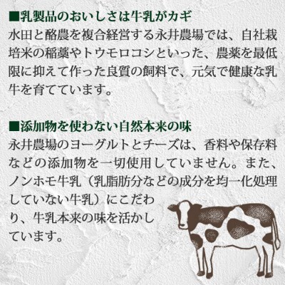 チーズ・ヨーグルト詰め合わせセット【永井農場】|ナガイファーム