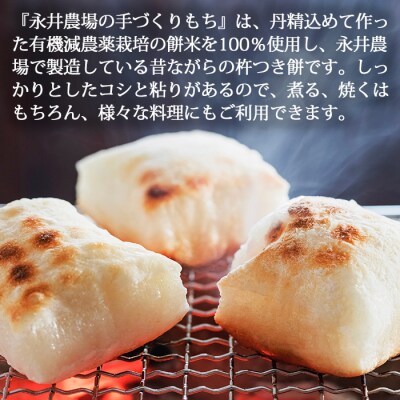 永井農場の手づくり餅　詰め合わせA