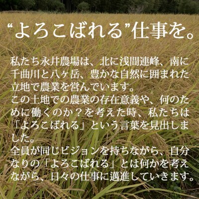 永井農場の手づくり餅　詰め合わせB