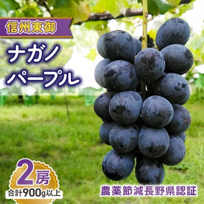 【先行受付2025年発送】ナガノパープル2房 合計900g以上(贈答用)東御こもだ果樹園