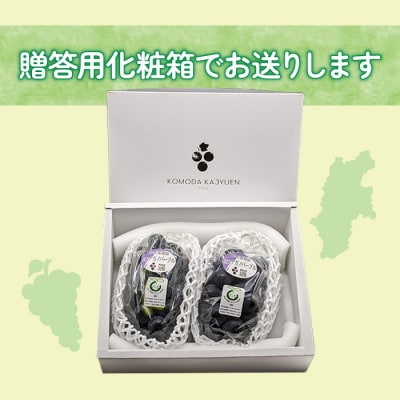 【先行受付2025年発送】ナガノパープル2房 合計900g以上(贈答用)東御こもだ果樹園