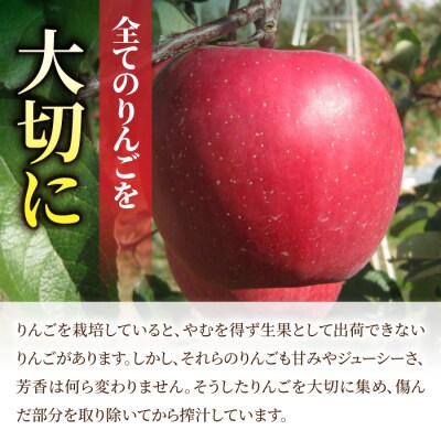 100%りんごジュース「ひだまりの雫」　1000ml×2本【花岡果樹園】