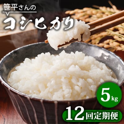 【定期便】【令和6年産】八重原産コシヒカリ 白米【5kg×全12回 合計60kg】|笹平さんのお米