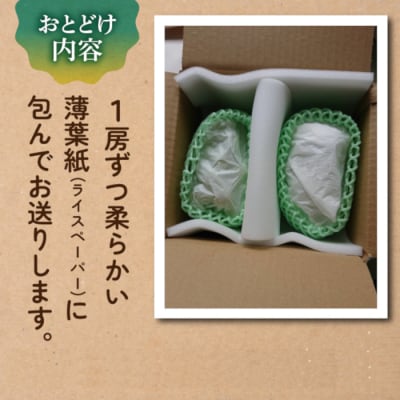 【先行受付2026年発送】農家直送!シャインマスカット2房(約1.2kg)【土屋農園】
