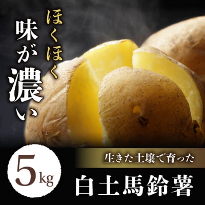 【先行受付2026年発送】長野県産新じゃがいも 生きた土壌で育った『白土馬鈴薯5kg』里山JAPAN