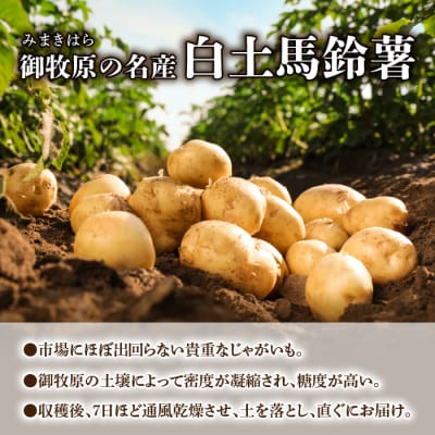【先行受付2026年発送】長野県産新じゃがいも生きた土壌で育った『白土馬鈴薯10kg』里山JAPAN