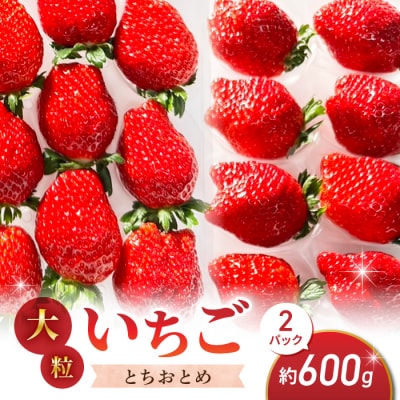 �嗱!�c������̂�����(�Ƃ����Ƃ�)2�p�b�N(600g)�����p��2026�N1����{�ȍ~�����\��