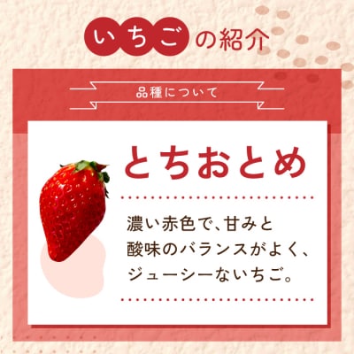 大粒!田口さんのいちご(とちおとめ)2パック(600g)贈答用※2026年1月上旬以降発送予定
