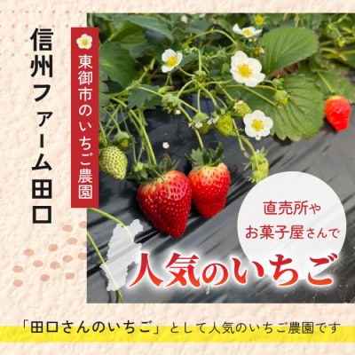 大粒!田口さんのいちご(とちおとめ)2パック(600g)贈答用※2026年1月上旬以降発送予定