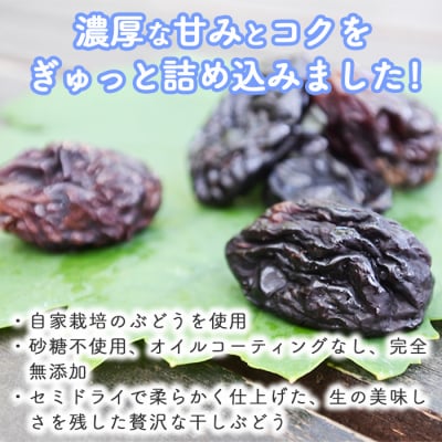 【秀果園】ぶどう農家のセミドライぶどう5品種5袋(各50g)