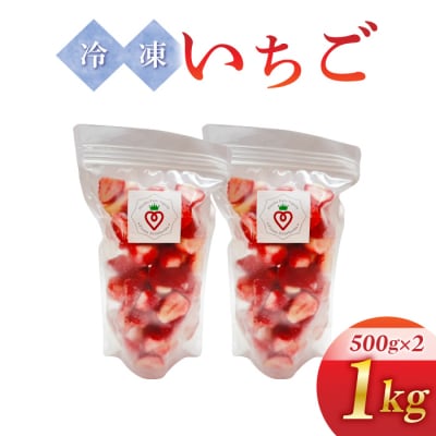 【信州ファーム田口】カット冷凍いちご(とちおとめ、やよいひめ混在)1kg(500g×2袋)