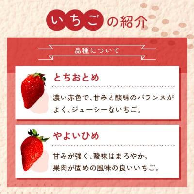 【信州ファーム田口】カット冷凍いちご(とちおとめ、やよいひめ混在)2kg(500g×4袋)