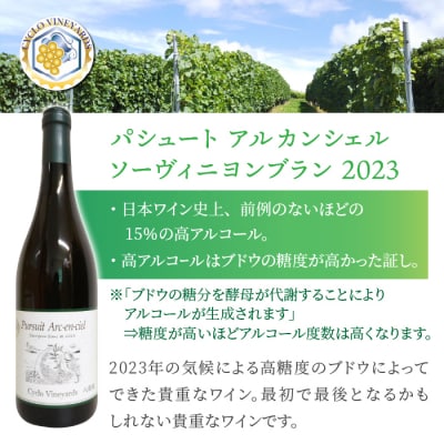 凍霜害 応援‼　ミシュラン採用の白ワインを飲み比べ【496ワイナリー】※2025年10月下旬以降発送