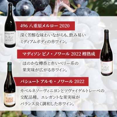 (年内発送)凍霜害 応援‼「神の雫」も「ミシュラン」も 味わい尽くす【496ワイナリー】