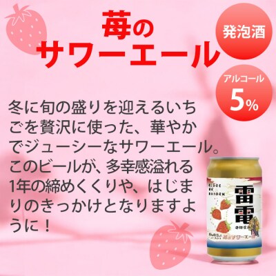 【オラホビール】訳あり!苺のサワーエール 24本(350ml缶×24本)