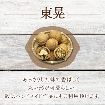 殻付き信濃くるみ 500g(品種 東晃)|2026年産 長野県東御市産 ※2026年11月以降発送