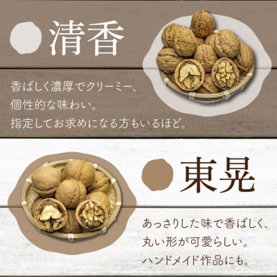 2026年産 長野県東御市産 殻付き信濃くるみ700g(品種 清香 350g,品種 東晃 350g)