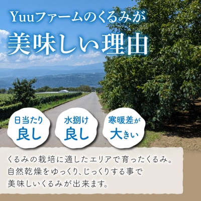 2026年産 長野県東御市産 殻付き信濃くるみ700g(品種 清香 350g,品種 東晃 350g)