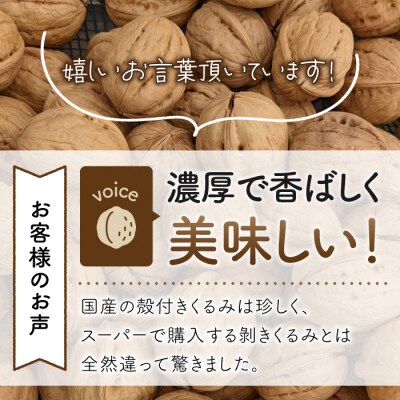 2026年産 長野県東御市産 殻付き信濃くるみ700g(品種 清香 350g,品種 東晃 350g)