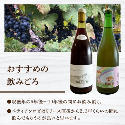 【ドメーヌナカジマ】カベルネフラン2023とペティアンロゼ2024のセット
