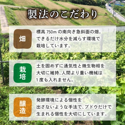 【ドメーヌナカジマ】カベルネフラン2023とペティアンロゼ2024のセット
