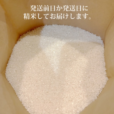 【先行受付2026年発送】R8年産コシヒカリ　5kg|Ruga grape farm