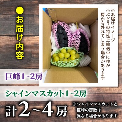 2026年先行受付【おがわら農園】家庭用欲張りセット!シャインマスカット・種無し巨峰,各1～2房