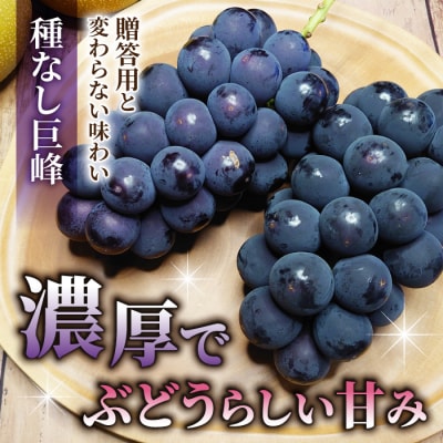 【おがわら農園】家庭用欲張りセット!(シャインマスカット3房・種無し巨峰3～4房)約2.8～3kg