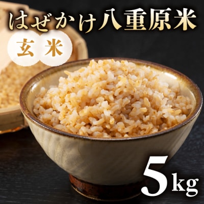 令和7年新米受付!はぜかけ八重原米5kg(5kg×1袋)玄米　※2025年11月上旬以降順次発送