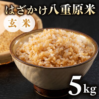 令和8年新米予約!標高700mの台地で稲作一筋の農家が育てたはざかけ八重原米5kg(1袋)玄米